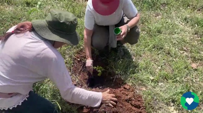 Invespanel impulsa la sostenibilidad y la solidaridad con importantes iniciativas en 2024